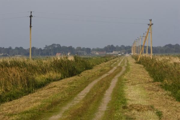 Savaitgalio planas: Migruojantys paukščiai. Ventė