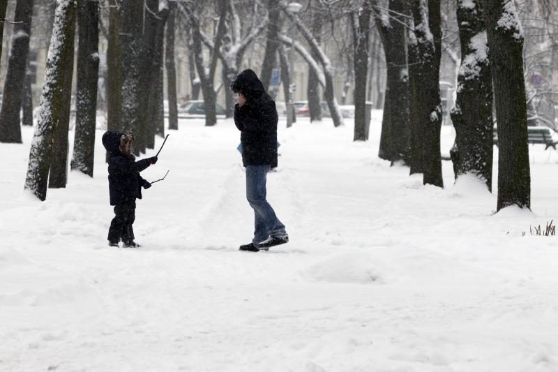 Kodėl Vilniuje  niekas neišveža  sniego?