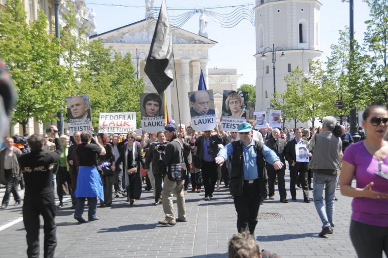 Vilniuje į mitingą rinkosi žmonės, sujaudinti vaiko likimo