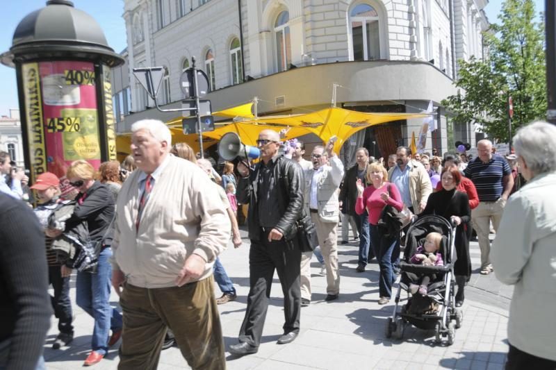 Vilniuje į mitingą rinkosi žmonės, sujaudinti vaiko likimo