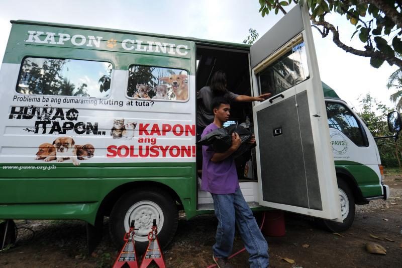 Filipinuose nuo šunų kautynių išgelbėti pitbuliai nebus numarinti
