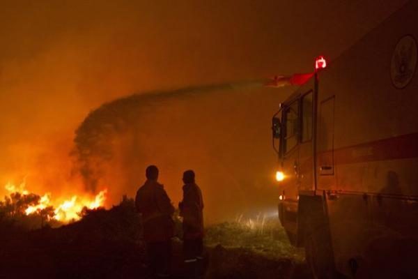 Izraelyje siaučiantys miškų gaisrai nusinešė 41 žmogaus gyvybę (papildyta)