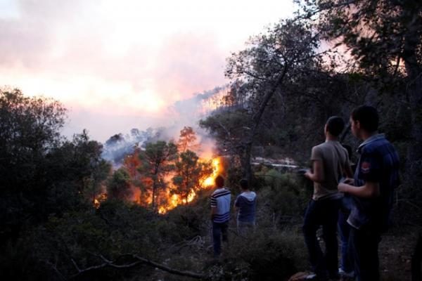 Izraelyje siaučiantys miškų gaisrai nusinešė 41 žmogaus gyvybę (papildyta)