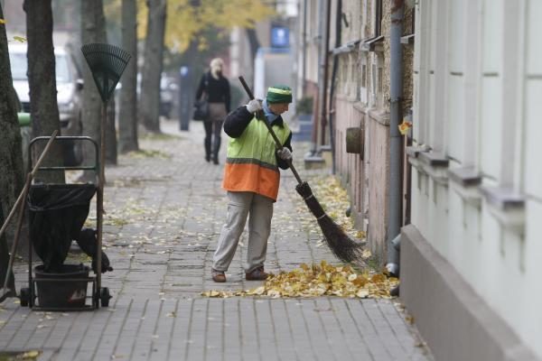 Klaipėdos gatvėse surinkti lapai virs kompostu