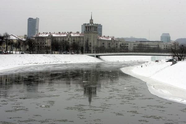 Prie sostinės Žaliojo tilto narai nerado nei skenduolio, nei gyvūnų (papildyta)