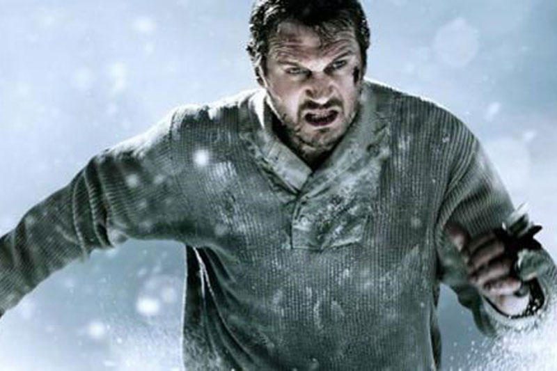 Aktoriui L.Neesonui filmavimas sniegynuose priminė žmonos žūtį