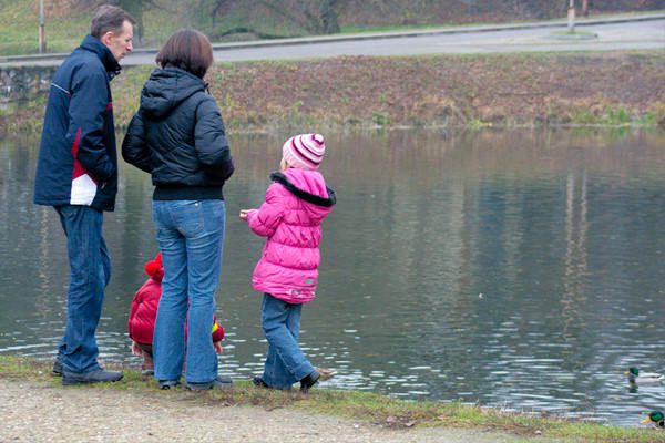 Rinkimuose balsuoja tik kas dvidešimtas užsienio lietuvis