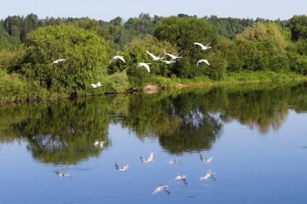 Kaunas-Nida: pagaliau atidaromi reguliarūs reisai laivu