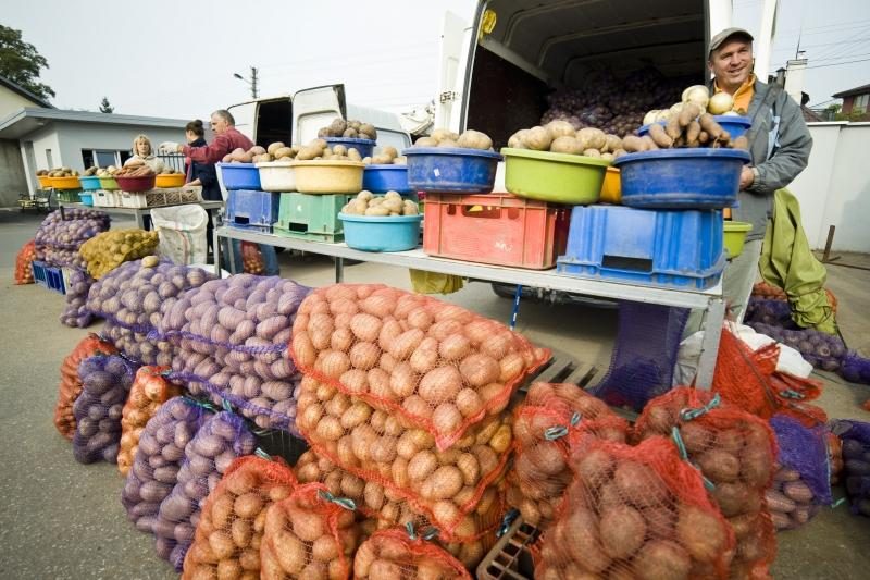 Turgaus prekystaliai lūžta nuo daržovių, bet trūksta pirkėjų