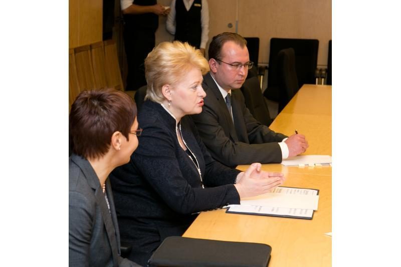 D.Grybauskaitė: Konstitucinio Teismo sprendimų nekomentuoju