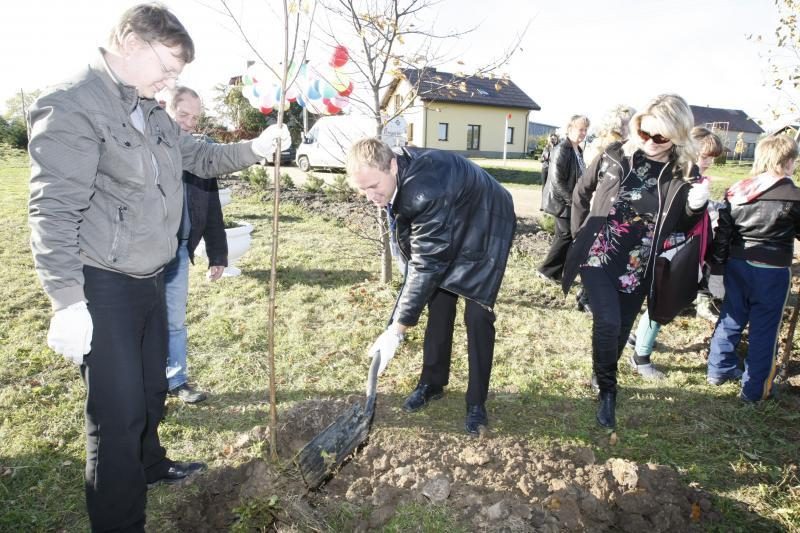 Jakų parke atidaryta nauja žaliuojanti alėja