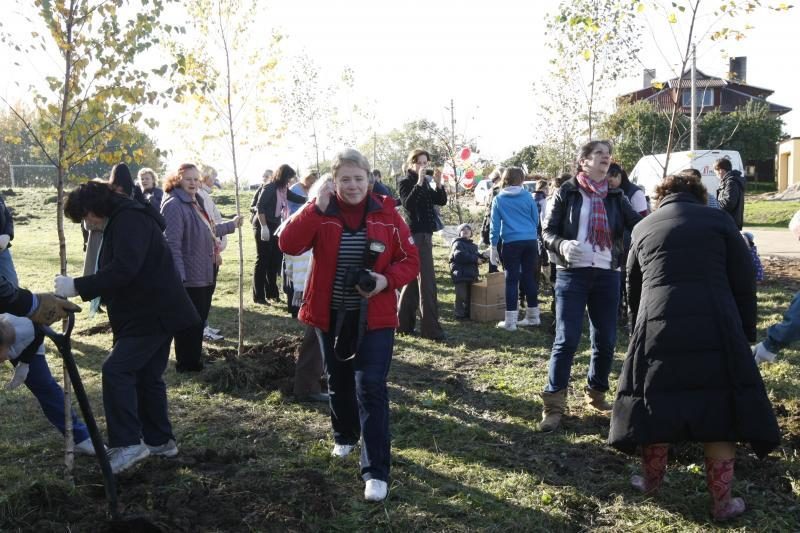 Jakų parke atidaryta nauja žaliuojanti alėja