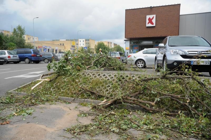 Šalčininkuose siautusi audra plėšė stogus, naikino pasėlius