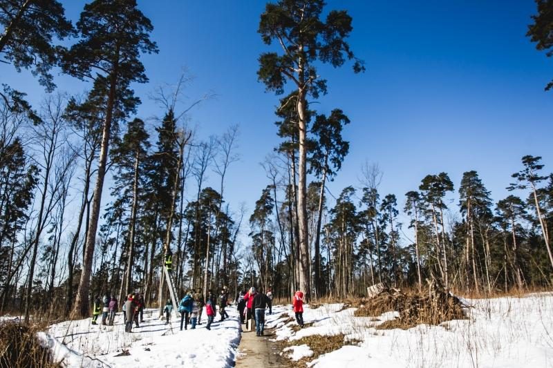 Panemunės šile iškelta per 100 naujų inkilų