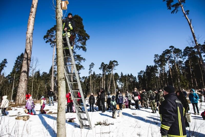 Panemunės šile iškelta per 100 naujų inkilų