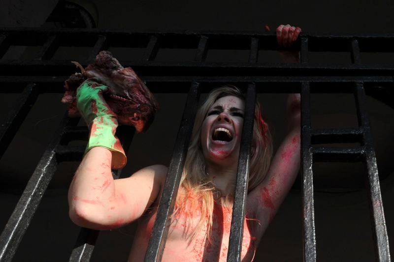 „Femen“ aktyvistės Kijevo zoologijos sode surengė protestą