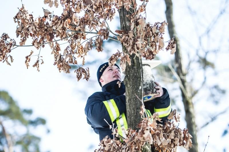 Panemunės šile iškelta per 100 naujų inkilų