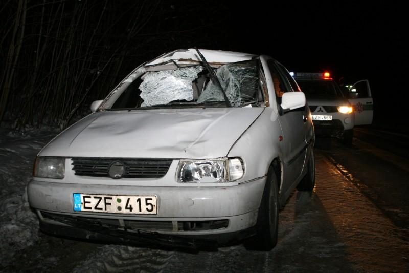 Briedį partrenkęs vairuotojas: galvojau, kad žmogus