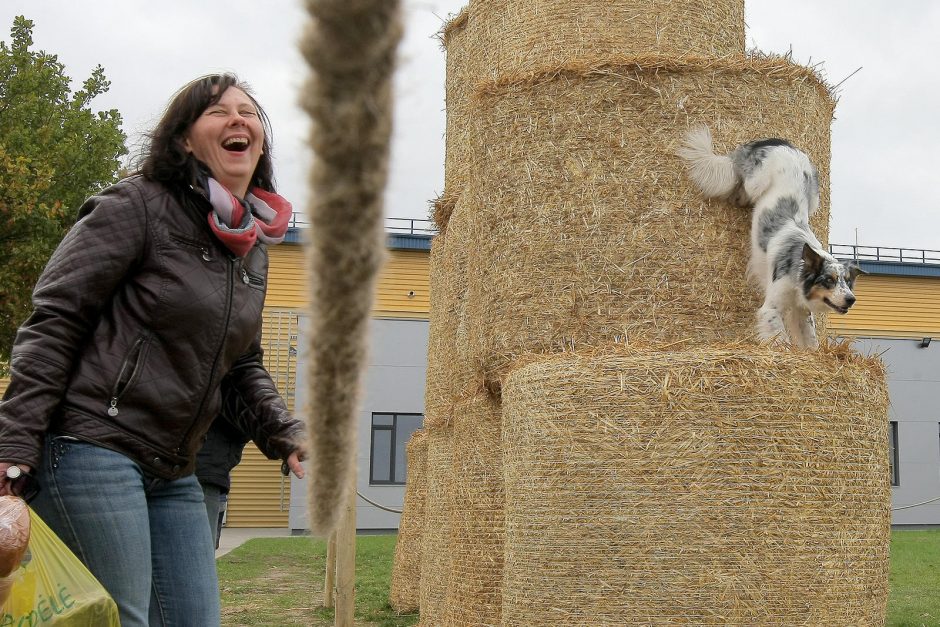 „Sprendimų ratas“ sukasi jau aštuntą kartą 