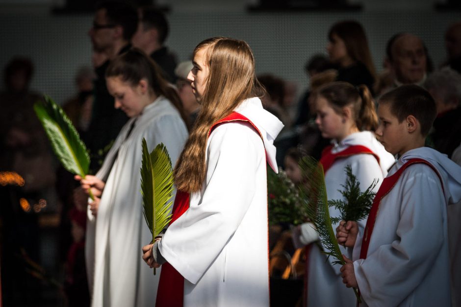 Verbų sekmadienis Kaune