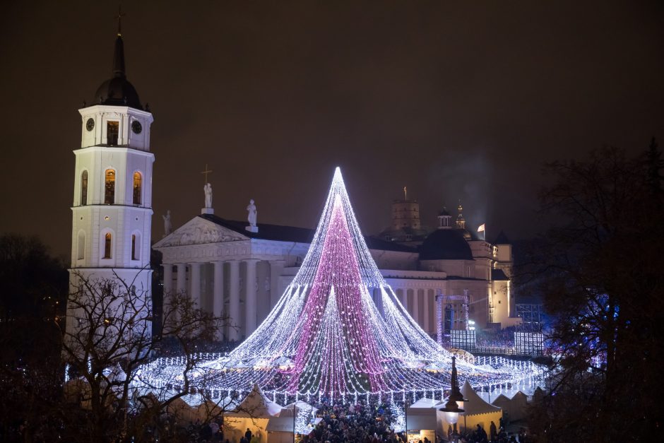 Vilniaus Katedros aikštėje įžiebta Kalėdų eglė 