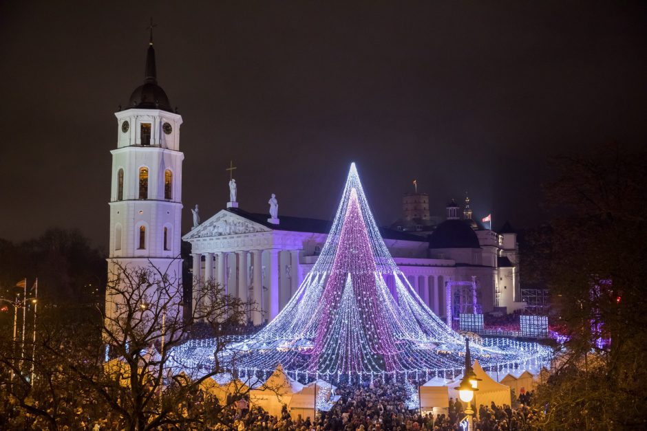 Vilniaus Katedros aikštėje įžiebta Kalėdų eglė 