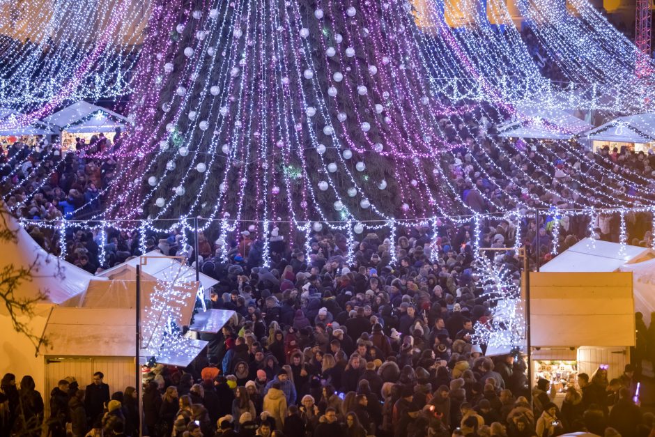 Vilniaus Katedros aikštėje įžiebta Kalėdų eglė 