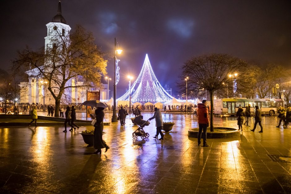 Vilniaus Katedros aikštėje įžiebta Kalėdų eglė 