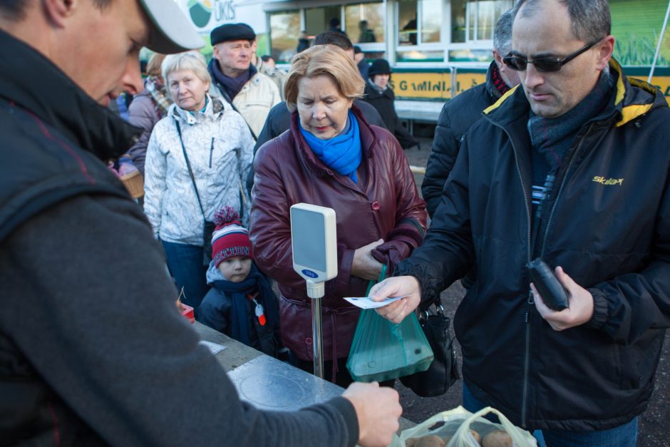 Šeštadienio ritualas turgelyje: pokalbiai, rudens gėrybės ir vainikai