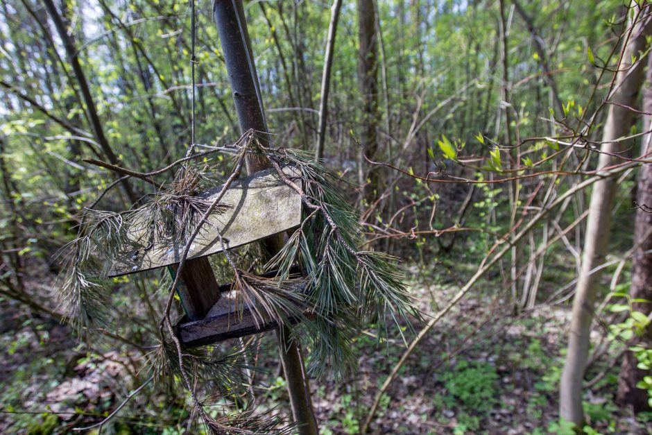 Šiurpi mirtis: Kleboniškio miške sudegė benamis