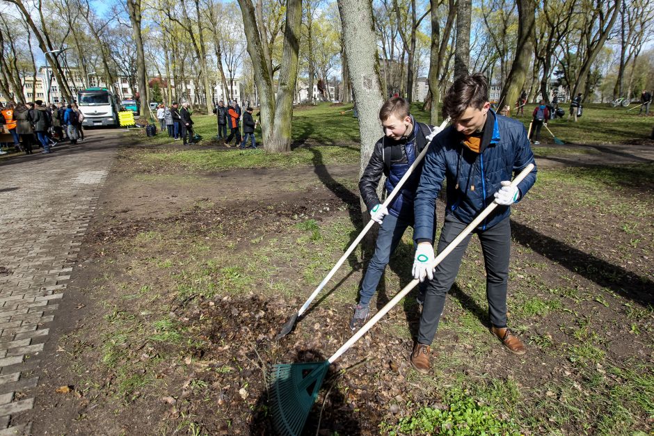 Į talką susirinko daugiau kauniečių, nei tikėtasi 