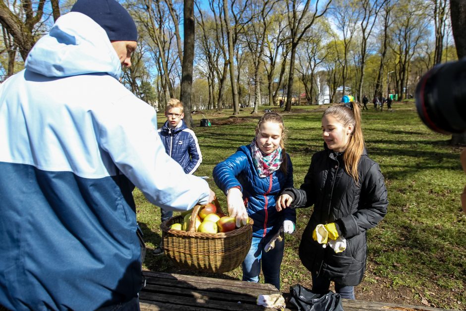 Į talką susirinko daugiau kauniečių, nei tikėtasi 