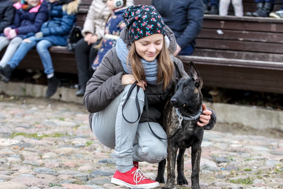 Kaune pirmąkart paminėta Šuns diena: vicemeras atsivežė keturkoję Pamelą