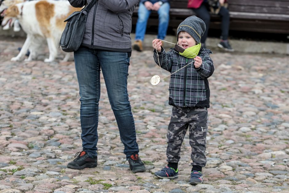 Kaune pirmąkart paminėta Šuns diena: vicemeras atsivežė keturkoję Pamelą