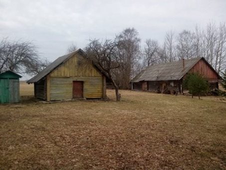 Skelbimas - Parduodama graži sodyba Dapšių k., Kupiškio r.