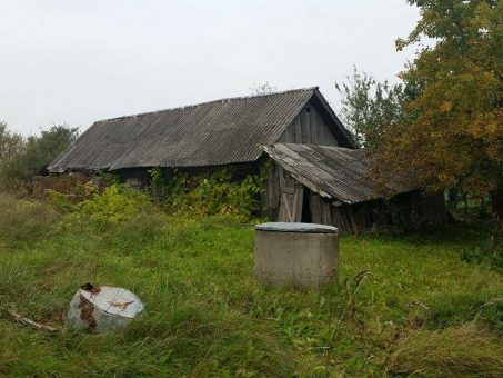 Skelbimas - Parduodama sodyba-vienkiemis Kriaučiūnų k., Panevėžio r.