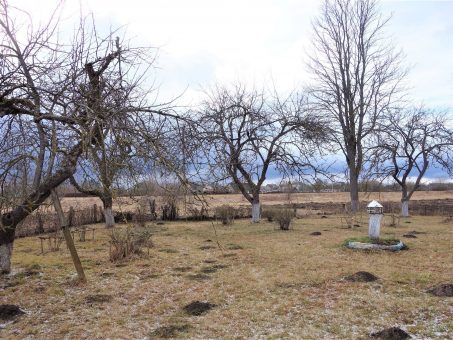 Skelbimas - Sodyba prie miško Baisogaloje, Radviliškio r.