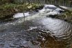 Skelbimas - Erdvi kaimo turizmo sodyba ant Siesarties upelio krantų Šakių r.