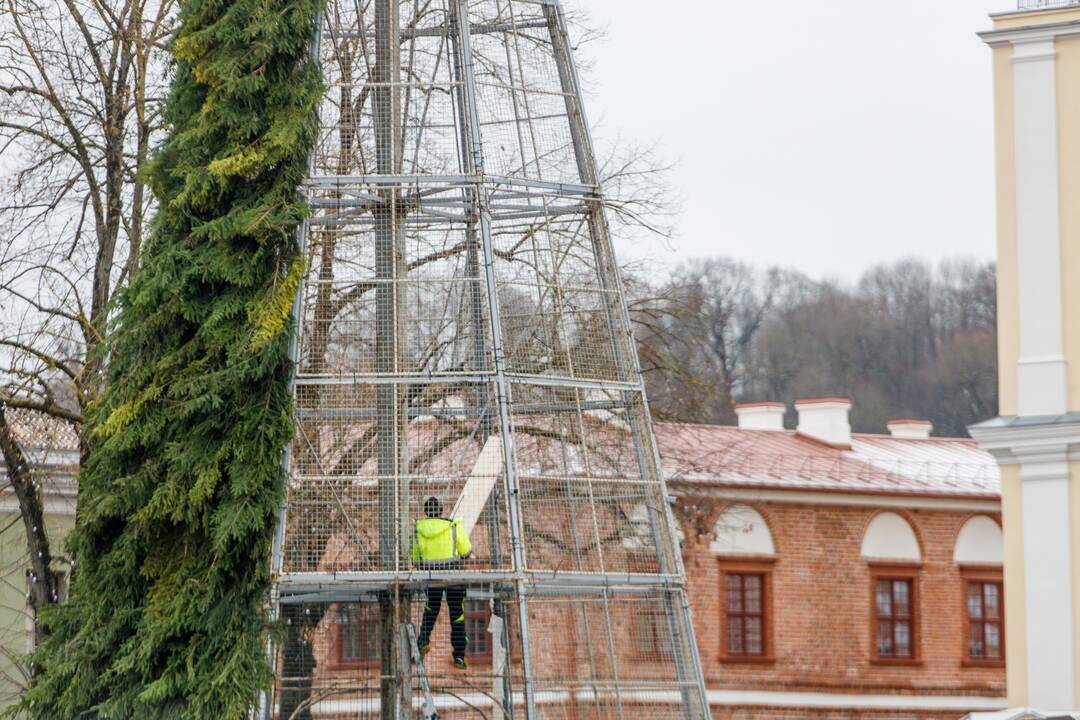 Pasiruošimas Kalėdoms
