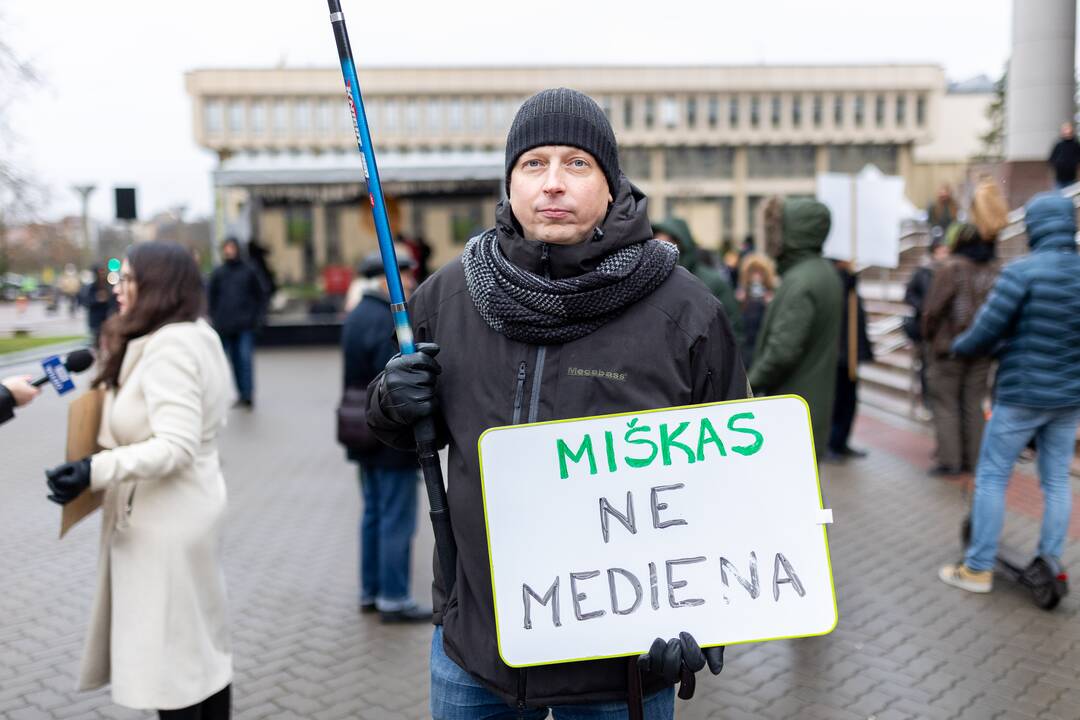 Prie Seimo – protestas dėl plynųjų miškų kirtimų