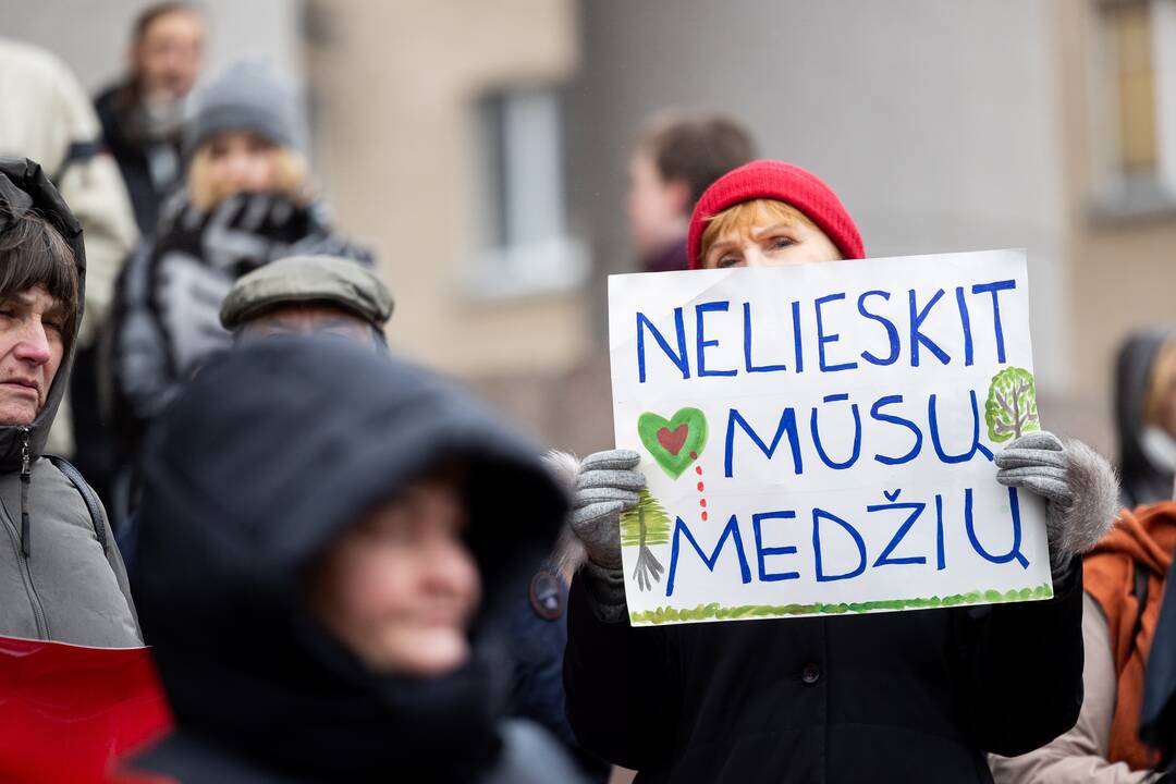 Prie Seimo – protestas dėl plynųjų miškų kirtimų