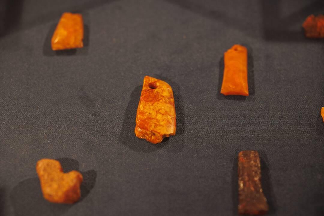 Kretingos muziejuje – išskirtinė gintaro kolekcija