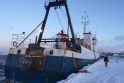 Istorija: laivas „Senator“ kurį laiką stovėjo sulaikytas Norvegijos Kirkeneso uoste.