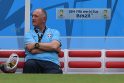 Luizas Felipe Scolari