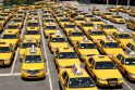 Klaipėdoje užsimota suvienodinti visų maršrutinių ir lengvųjų taksi automobilių spalvas, kaip yra daugumoje Vakarų valstybių.
