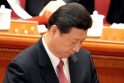 Permainos Kinijoje: naujuoju lyderiu tapo Xi Jinpingas