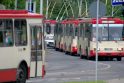 Nuo rugsėjo 1 d. keičiasi Vilniaus viešojo transporto darbas