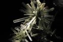 Mokslininkams pavyko sukurti sintetinius kristalus