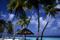 Maldyvų salos ruošiasi didžiajam kraustymuisi