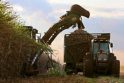 Marijampolės verslininkai ketina statyti biodyzelino gamyklą